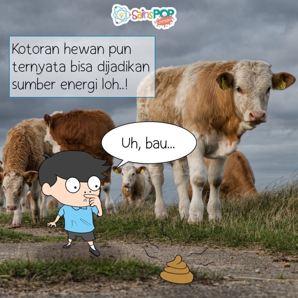 Biogas energi alternatif dari kotoran ternak dan limbah organik lainnya